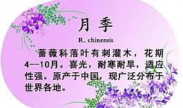 異形展板圖片