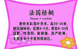 異形展板圖片