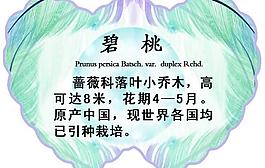 異形展板圖片