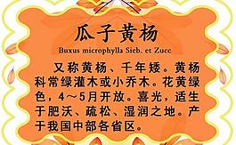 異形展板圖片