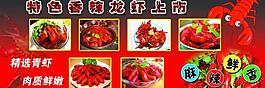 龍蝦展板圖片