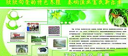 展板模板圖片