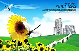 草地上的城市和向日葵