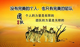 團隊背片