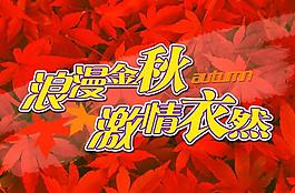 楓葉吊旗圖片