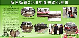 植樹(shù)展板圖片
