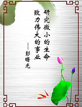 企業(yè)文化展板圖片