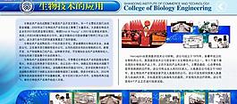 學校展板圖片
