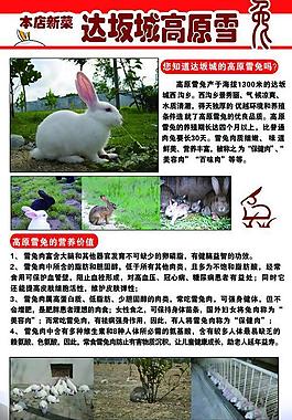 高原雪兔展板图片