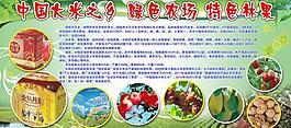 农产品 绿色展板图片