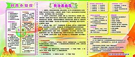 科普知识 展板图片