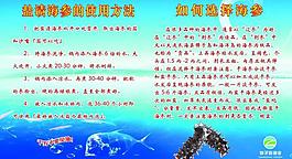 獐子岛海参展板图片