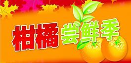 柑橘嘗鮮季吊旗圖片