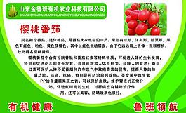 櫻桃番茄展板圖片