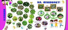 幼兒園展板圖片