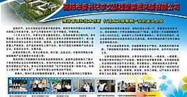企業(yè)文化展板圖片