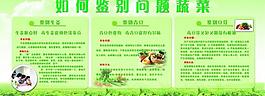 蔬菜知識(shí)展板圖片
