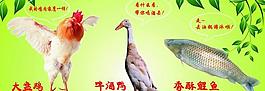 大盘鸡展板图片