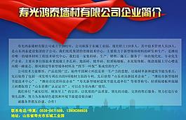 公司简介展板图片