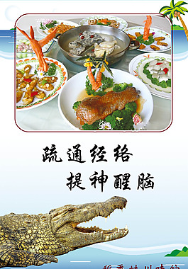 鱷魚(yú)肉