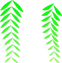 矢量柳條cdr矢量圖