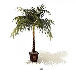 3d植物圖片