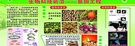 生物科技展板图片