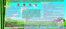 夏季养生展板图片