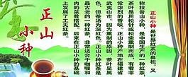 正山小種展板圖片