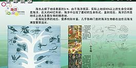 學校展板設(shè)計圖片