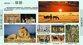 學校展板設計圖片