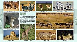 學校展板設(shè)計圖片