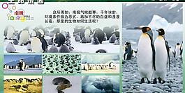 學(xué)校展板設(shè)計(jì)圖片