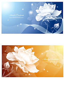 白色花卉裝飾banner