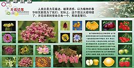 學(xué)校展板設(shè)計(jì)圖片