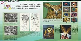 學(xué)校展板設(shè)計圖片
