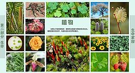學(xué)校展板設(shè)計(jì)圖片
