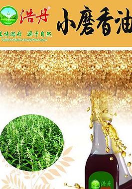 浩丹 小磨香油展板圖片