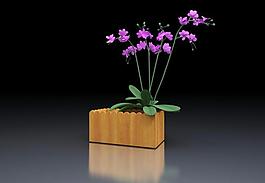 田園風(fēng)格花盆3d模型圖片