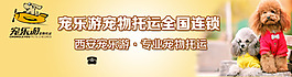 寵物宣傳海報素材下載