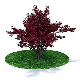 精致綠色樹木3d模型圖片