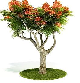 3d精美樹木模型圖片