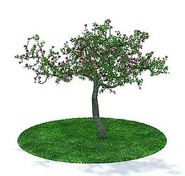 3d精細綠色樹木模型圖片