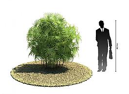 3d绿色植物模型图片