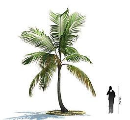 3d精美植物模型圖片