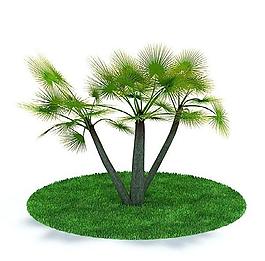 3d精致綠色樹木模型圖片