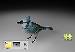 青鳥3d三維模型建模圖片