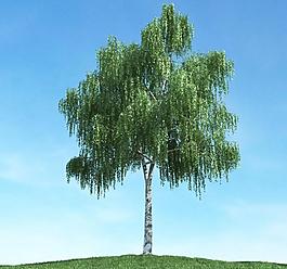 樹木模型 高大植物圖片