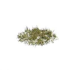 植物模型 小草模型圖片