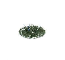 植物模型 小草模型圖片